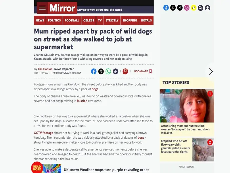 1266x877 1 c6313ba853090a851327e