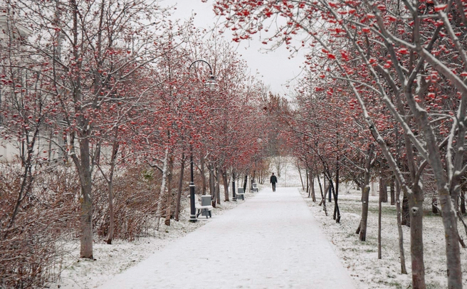 656x438 1 5633 7b5429ed16b905e12dffffa3ad5bb47d4747x3165 0xAq7xJzE2 0042079224053827677.jpg