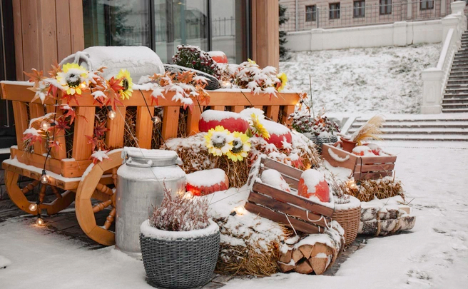 656x438 1 5633 c9f59ea7645ffe7f7028931b8b915d615000x3333 0xQqxMgGn0 7464426287108950561.jpg